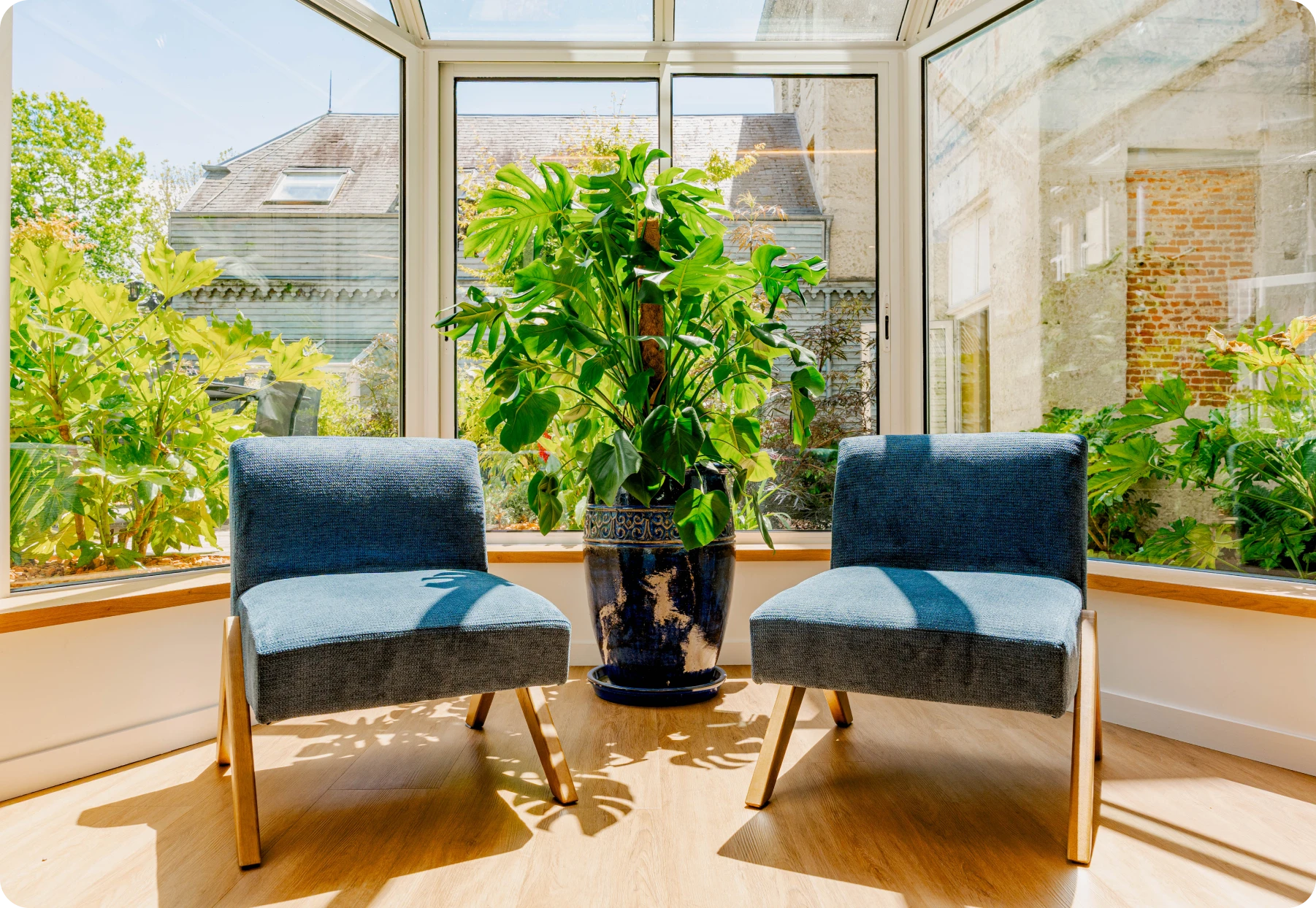Coin détente en véranda avec plante centrale
